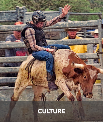 Culture Bull Riding Quicklink